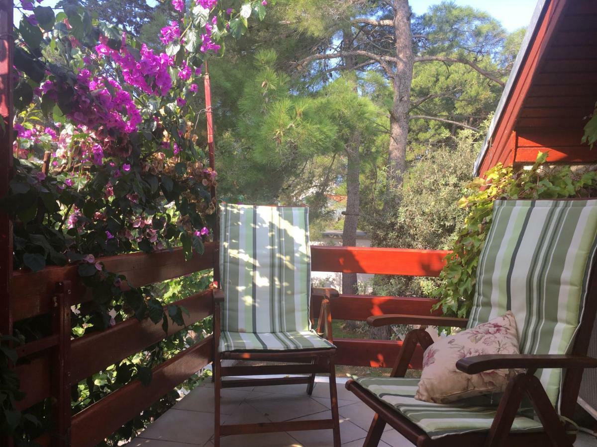 Apartmani Matas Petrcane Exteriör bild