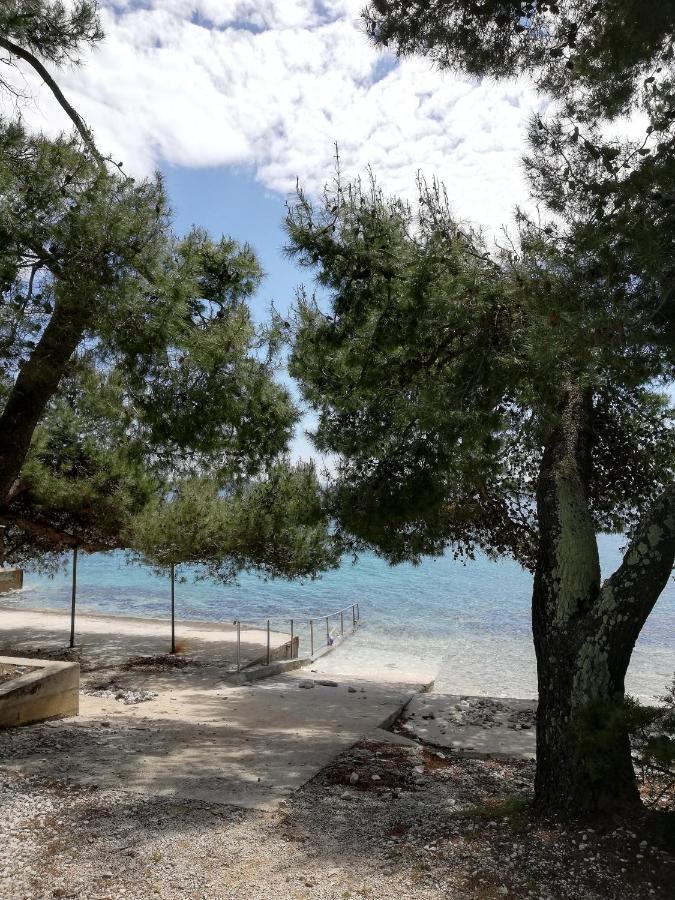 Apartmani Matas Petrcane Exteriör bild